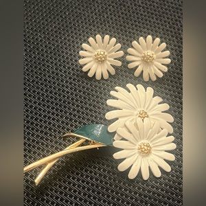 🍎Vintage Pastelli Daisy Flower Brooch & earings set 🌼